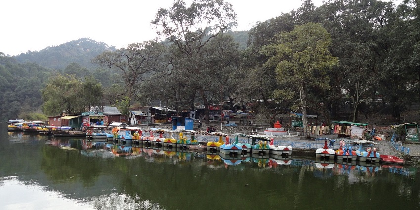 Nainital Paragliding offers vibrant forests and wildlife.