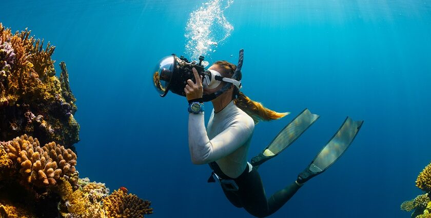 A view of scuba diving in Alibaug, which has colourful coral reefs and marine life.