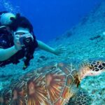 An image of Marine landscape scuba diving pictures around the areas of Kolkata.