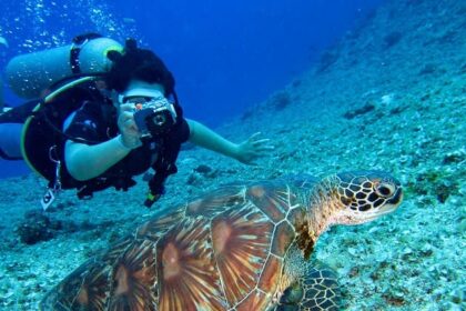 An image of Marine landscape scuba diving pictures around the areas of Kolkata.