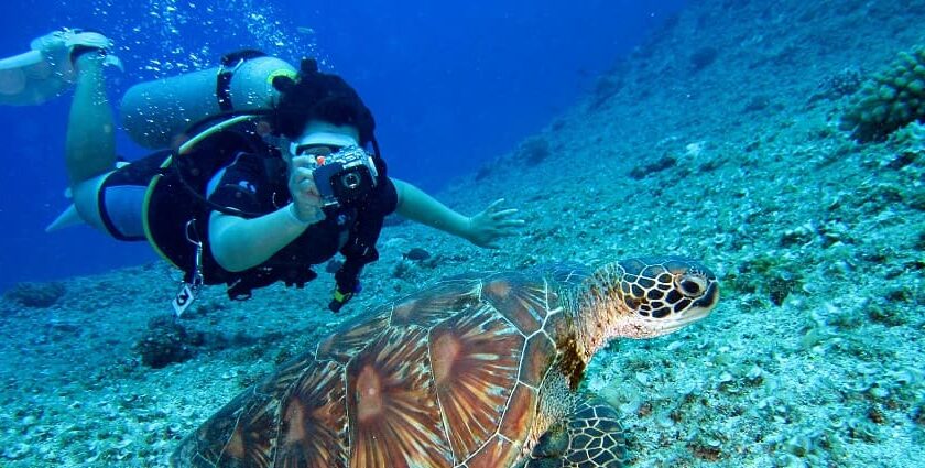 An image of Marine landscape scuba diving pictures around the areas of Kolkata.