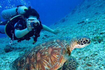 Enjoy Scuba diving in Australia, a memorable experience and an adventurous time.