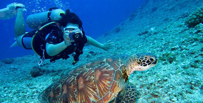 Enjoy Scuba diving in Australia, a memorable experience and an adventurous time.