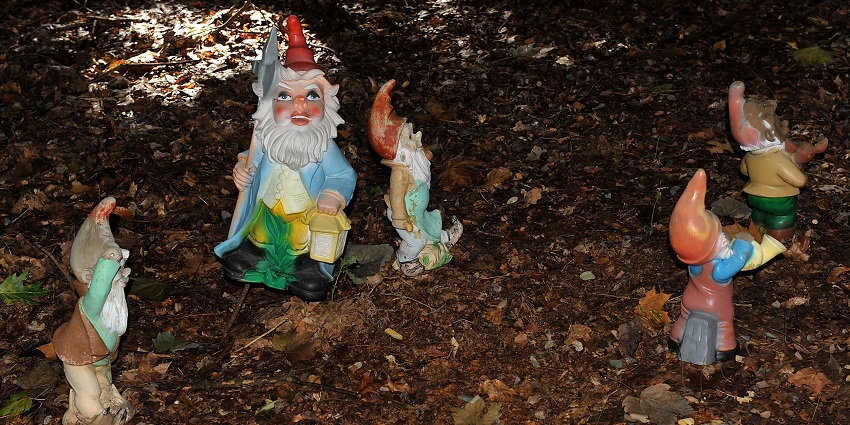 Serene environment of Secret Gnome Garden, a place to visit.