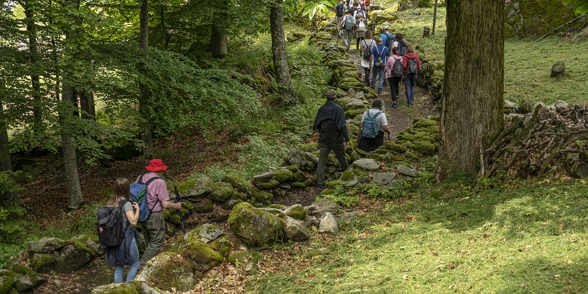 Experience hiking in Switzerland's rugged beauty on Sentiero Verzasca trail