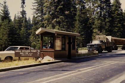 An image of Visitors at the entryway of Sequoia National Park.