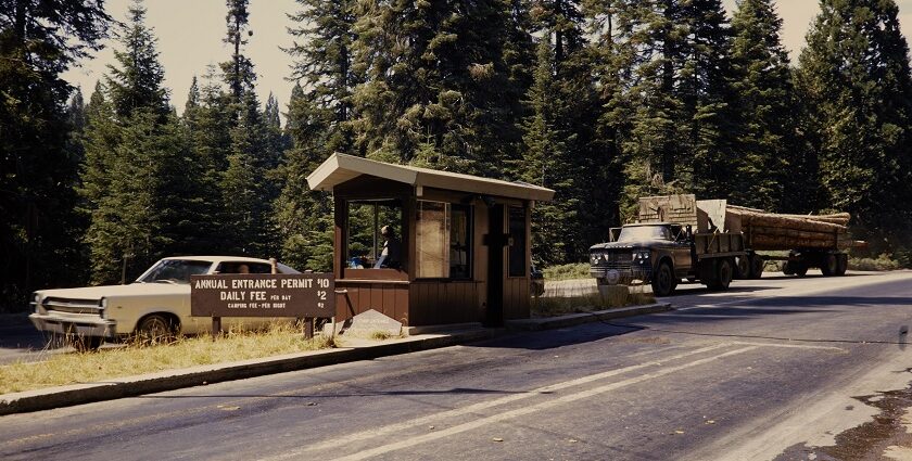 An image of Visitors at the entryway of Sequoia National Park.