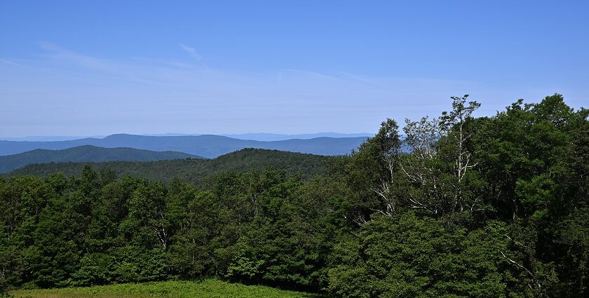 A view of Shenandoah National Park with a rocky overlook, green trees, and distant hills.