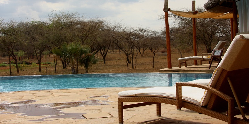 Adventure camp featuring a refreshing pool and outdoor activities.