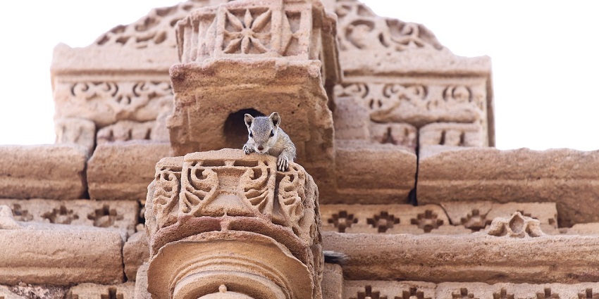 An image of an ancient temple with a weathered stone structure showcasing historical architecture.