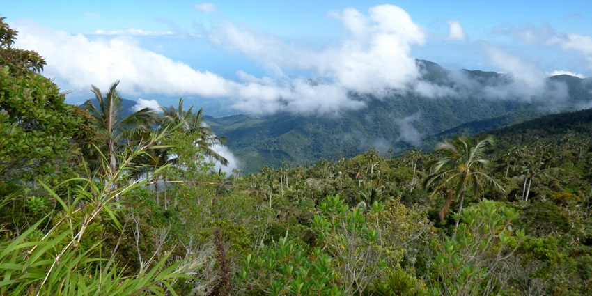Sierra Nevada de Santa Marta is a place situated amidst hills