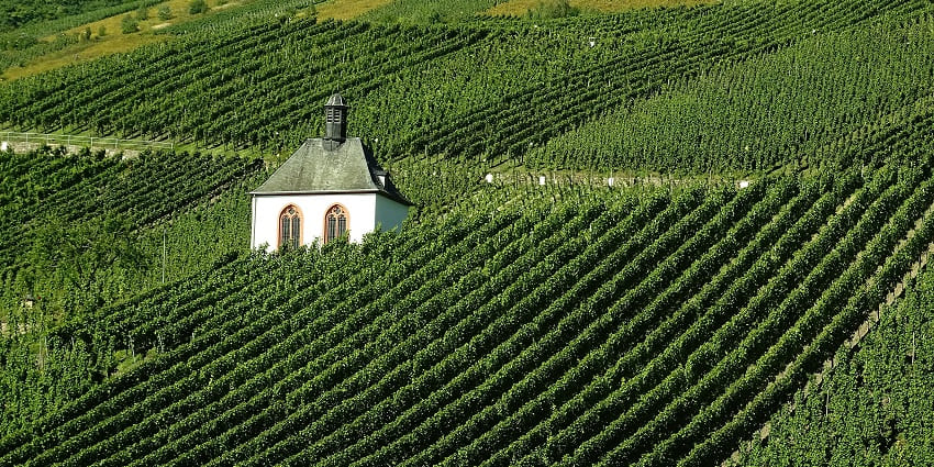Luxurious champagne-tasting experience in the heart of the Champagne region.