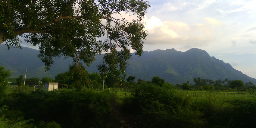 Snapshot of the beautiful hills of the lush dense forest of the the Sirumalai hills in Tamil Nadu