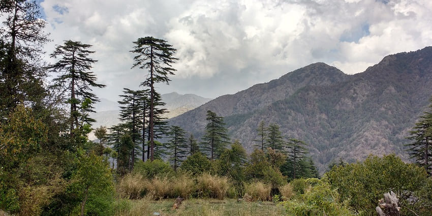 The tranquil forest area is known for wildlife and nature trails in uttarakhand.