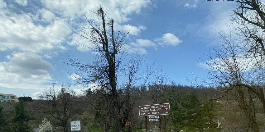 A road sign marking the start of Skyline Drive and Blue Ridge Parkway at Rockfish Gap.