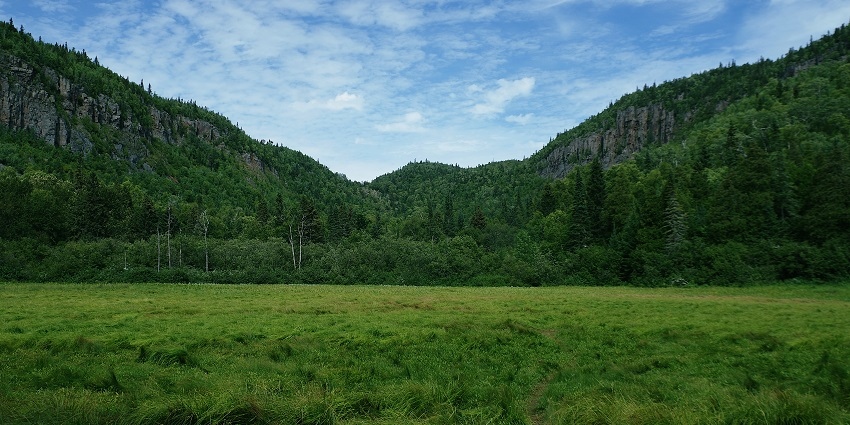 The Sleeping Giant Provincial Park is covered in green adjacent to a green field.