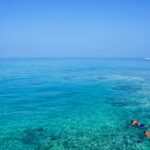 Snorkeling in Rameshwaram reveals vibrant marine life, coral reefs and unique experience