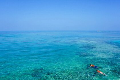 Snorkeling in Rameshwaram reveals vibrant marine life, coral reefs and unique experience