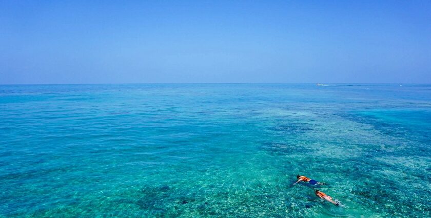 Snorkeling in Rameshwaram reveals vibrant marine life, coral reefs and unique experience