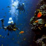 A picture of snorkelers exploring vibrant coral reefs during Snorkeling in Tarkarli