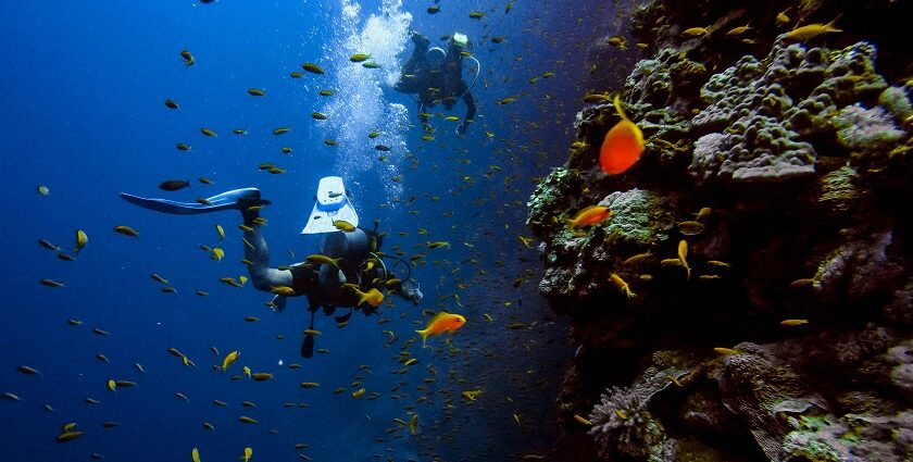 A picture of snorkelers exploring vibrant coral reefs during Snorkeling in Tarkarli