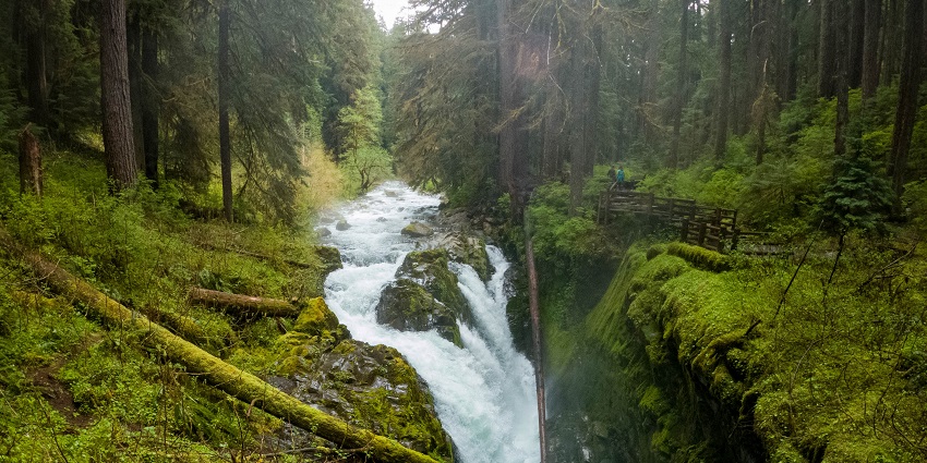 An image of a beautiful waterfall similar to Sol Duc Falls, near Olympic National Park.