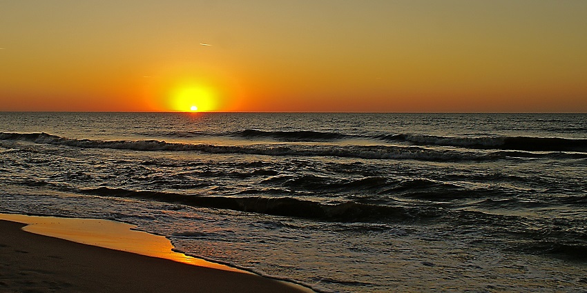 Relaxing beach destination with sunbeds, beach bars, and clear waters