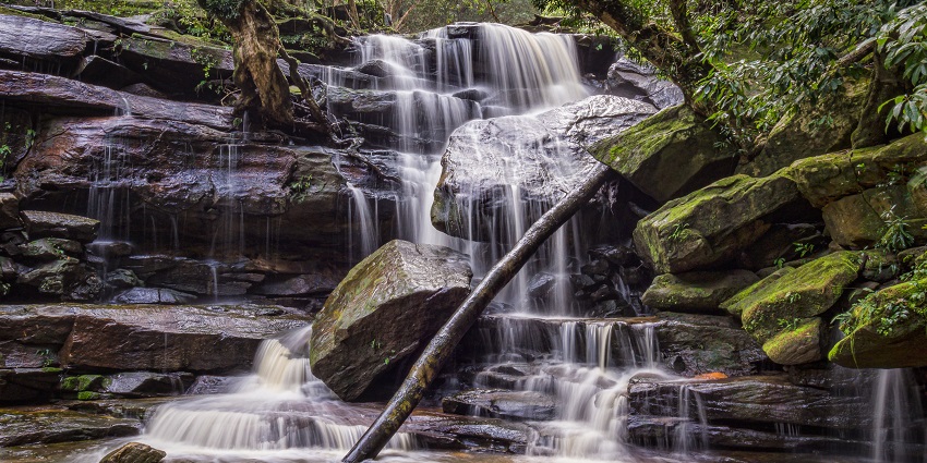 A peaceful environment for visitors to enjoy nature near Brisbane Water National Park.