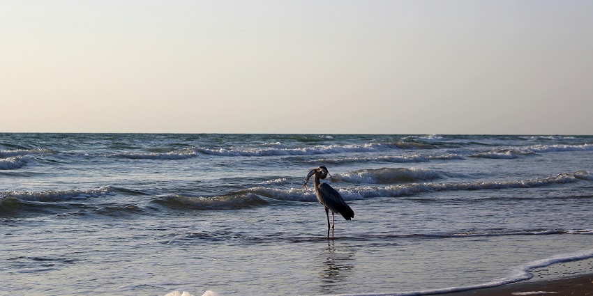 The photograph clicked from the shoreline called Brazos at South Padre Island in Texas.