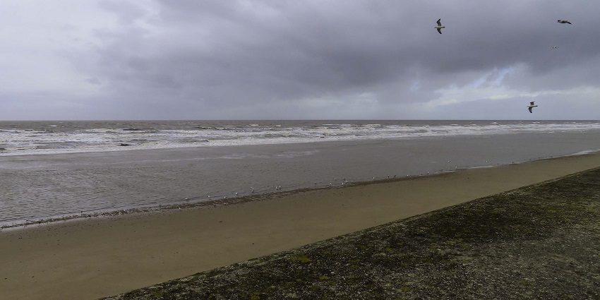 An image of the South Shore Beach, a very famous beach in Chicago for visitors and tourists