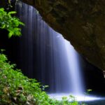 Lush rainforest landscapes and scenic waterfalls in Springbrook National Park.