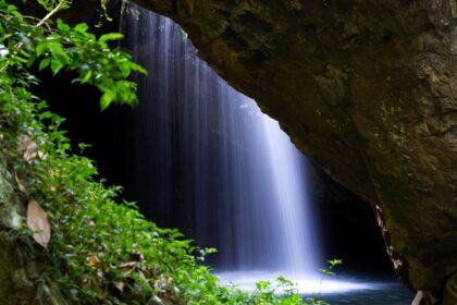 Lush rainforest landscapes and scenic waterfalls in Springbrook National Park.