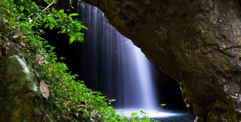 Lush rainforest landscapes and scenic waterfalls in Springbrook National Park.