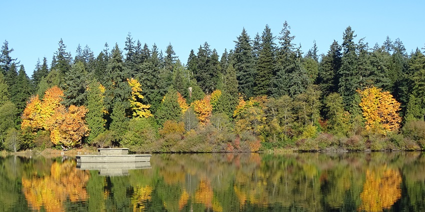 Lost Lagoon at Stanley Park showing a lake surrounded by trees with Fall colours