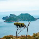 Picturesque view of Stewart Island under clear blue sky and blue water surrounded by greenery