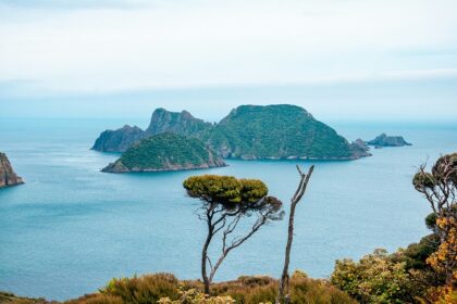 Picturesque view of Stewart Island under clear blue sky and blue water surrounded by greenery