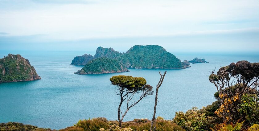 Picturesque view of Stewart Island under clear blue sky and blue water surrounded by greenery