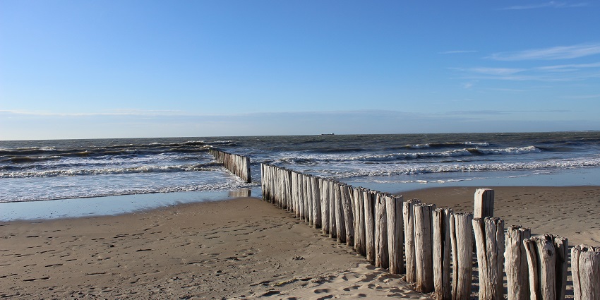 Strand Ooster Werken, serene Amsterdam beach with picturesque lake views awaiting.