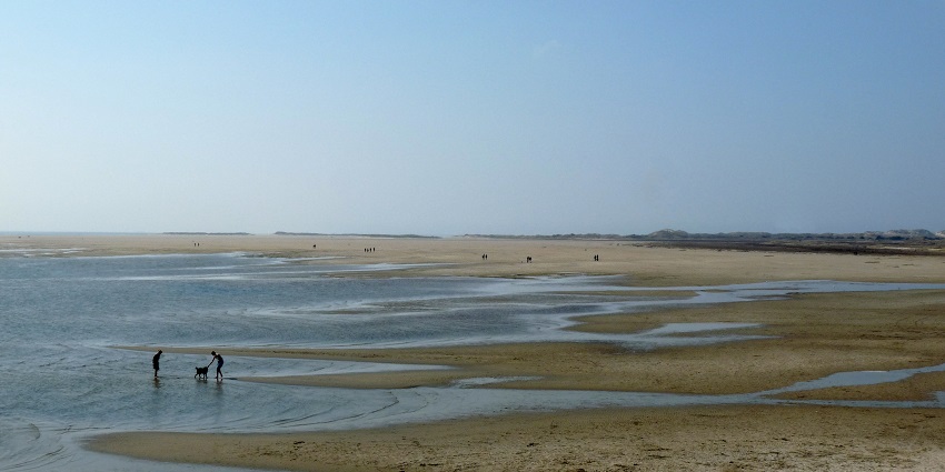 Relax at Strand West, one of the premier beaches in Amsterdam offering sandy shores.