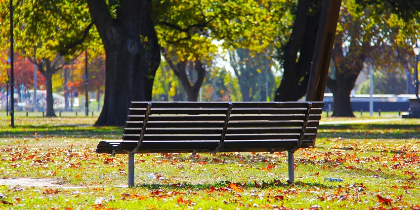 Image of a park with black Wooden Bench on Green Grass - one of the best things to do in Howrah