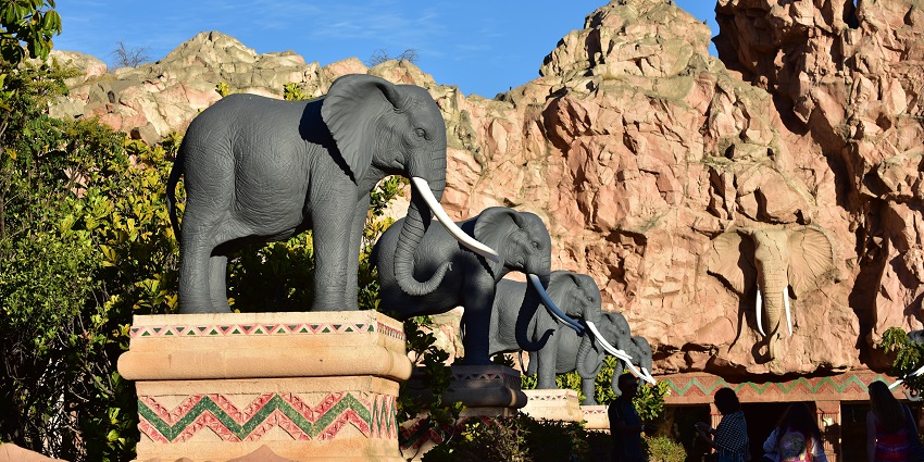 Sun City Resort offers endless fun, explore top things to do in South Africa here