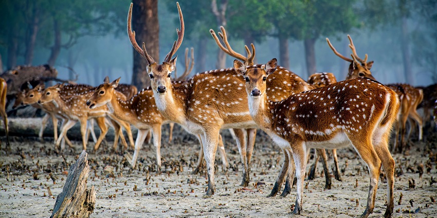 An image of a romantic boat ride, one of the best romantic places near Kolkata.