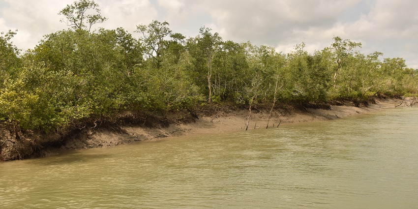 One of the top National Park in West Bengal is Sundarbans National Park
