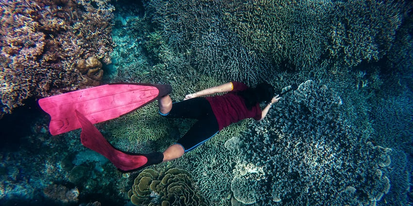 An image of an Underwater snap, which is one of the best spots for scuba diving in Kolkata.