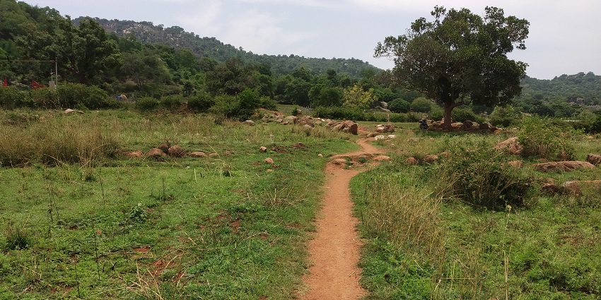 A picture of Yelagiri Swamimalai Hills, one of the best places for trekking places in Tamil Nadu.