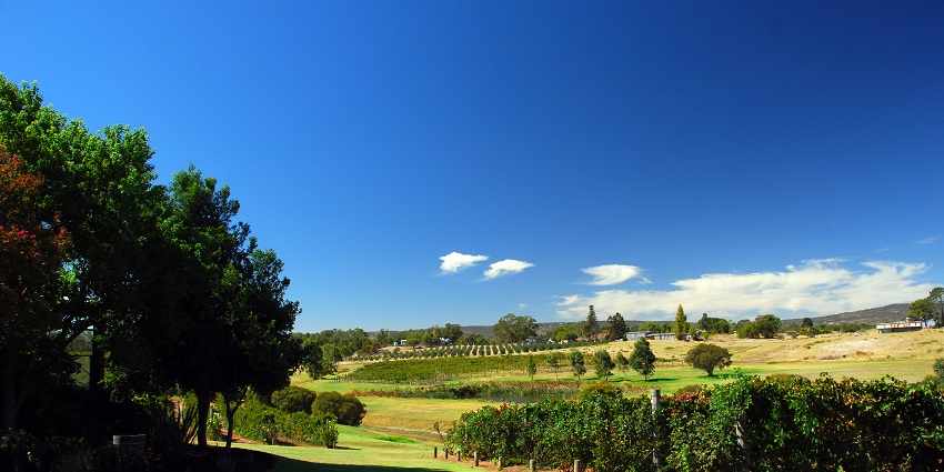 Swan Valley’s lush vineyards and artisanal offerings in the scenic island of Rottnest