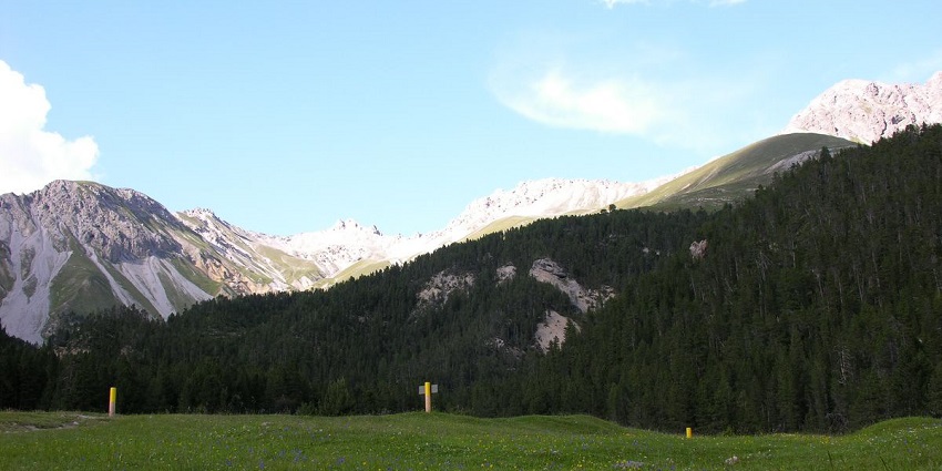 Experience trekking in Switzerland's Swiss National Park, pristine wilderness awaits.