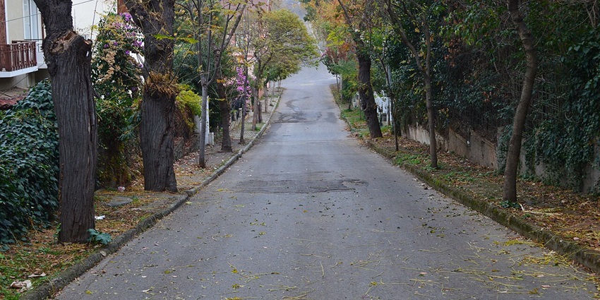 Things to do in Istanbul include visiting the island with charming streets, historic sites, and bike rides.