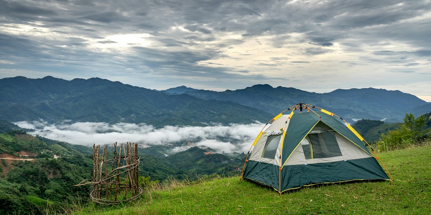 A glimpse of a serene campsite featuring lush greenery and picturesque mountain views.