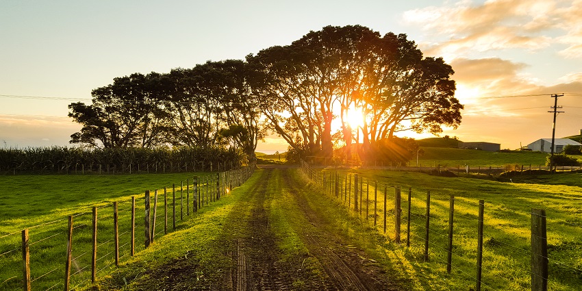 A beautiful sunset view at Taranaki, a place to visit in New Zealand in September